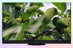 Panasonic TX-55JZR2000 с функцией 360° Soundscape Pro Panasonic