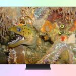 Samsung QE65S95H — обзор флагманского телевизора QD-OLED 2026 Samsung QE65S95H — обзор флагманского телевизора QD-OLED 2026