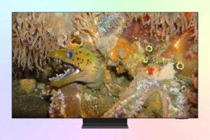 Samsung QE65S95H — обзор флагманского телевизора QD-OLED 2026 Samsung