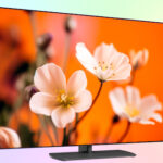 Philips 55OLED811 — обзор OLED EX телевизора среднего класса 2026 Philips 55OLED811 — обзор OLED EX телевизора среднего класса 2026