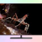 Philips 55PQS9011 — обзор телевизора The One, QLED, 4K, Ambilight Philips 55PQS9011 — обзор телевизора The One, QLED, 4K, Ambilight