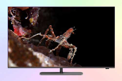 Philips 55PQS9011 - обзор телевизора The One, QLED, 4K, Ambilight