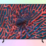 Samsung QE65S85H — обзор бюджетного OLED-телевизора 2026 года Samsung QE65S85H — обзор бюджетного OLED-телевизора 2026 года