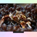 TCL 65C6K Pro — обзор телевизора QD-Mini LED из среднего ценового сегмента
