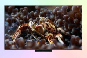 TCL 65C6K Pro — обзор телевизора QD-Mini LED из среднего ценового сегмента TCL
