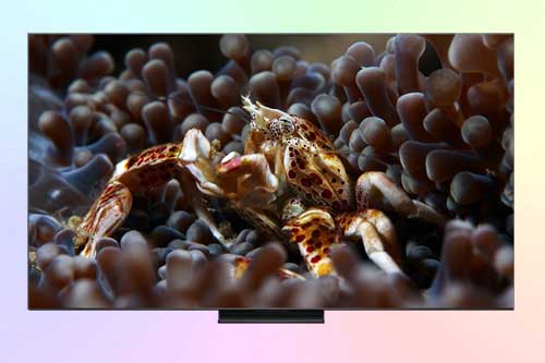 TCL 65C6K Pro - обзор телевизора QD-Mini LED из среднего ценового сегмента